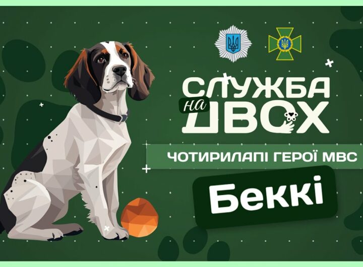 🐶 Беккі - носик, що виявляє вибухівку на кордоні | Служба на двох