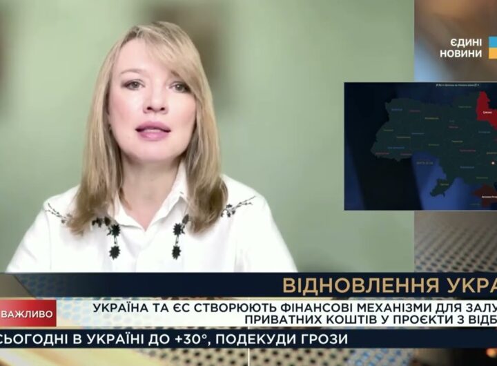 Відбудова України: Як залучатимуть приватні інвестиції з ЄС | Олена Шуляк