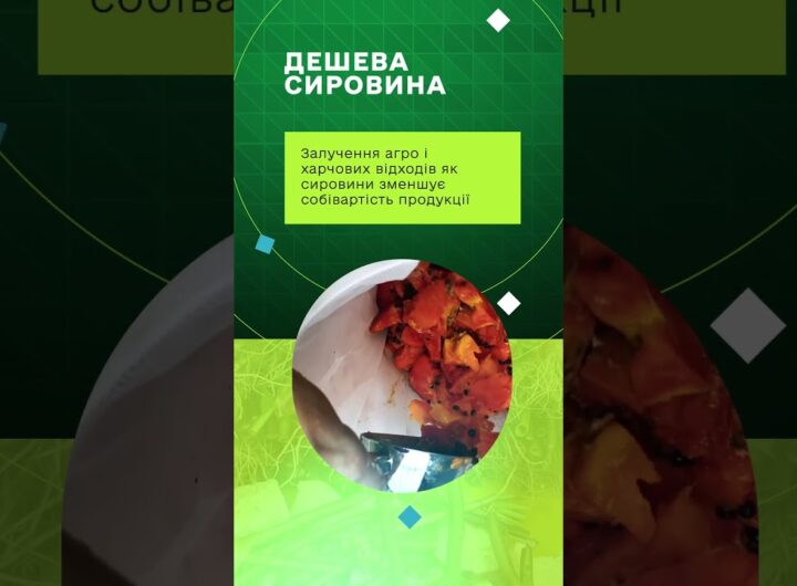 Навігатор із формування пропозиції на продукцію чорної львинки та її реалізації на ринку