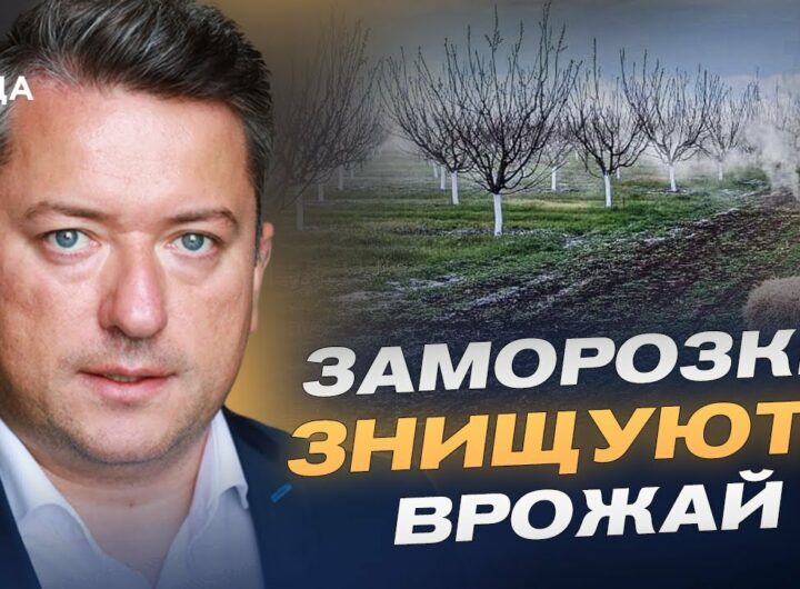 Заморозки ЗНИЩУЮТЬ врожай: що буде з цінами на фрукти та зерно? | Дмитро Соломчук