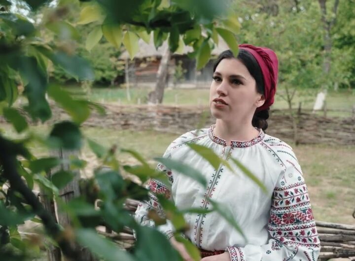 Луганщина в нитках: культурний код спротиву