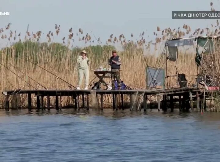Як рибалити під час нерестової заборони, щоб не порушувати правила