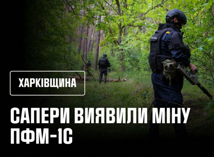 Сапери ДСНС розміновують ліси Ізюмщини: знайдено «пелюстку»