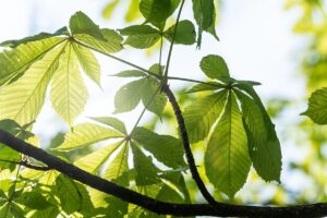 Новини культури - Гороскоп для знаків зодіаку на перші вихідні травня 2025 року