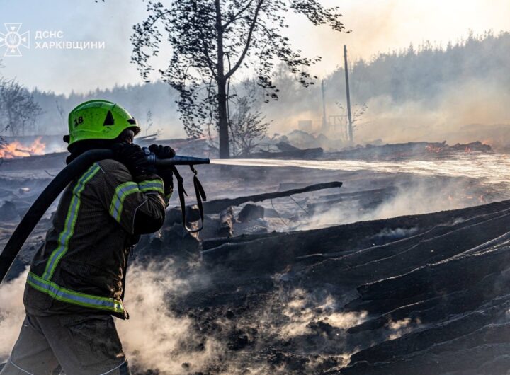 Новини України - Лісова пожежа поблизу Ізюма поширюється