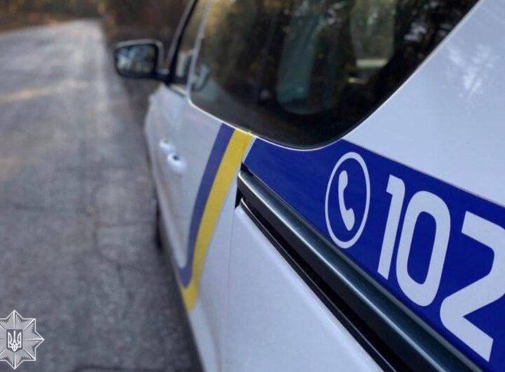 Новини України - Мешканець Закарпаття отримав підозру за вбивство собаки