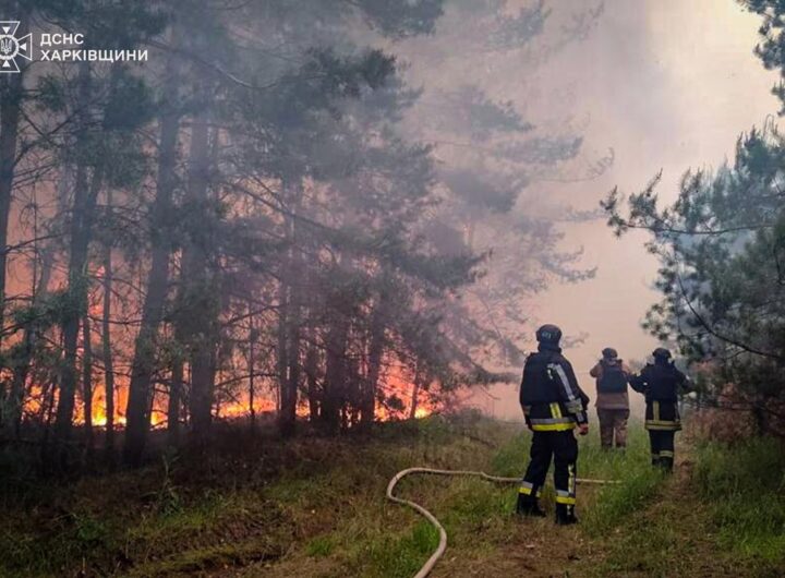 Новини України - На Харківщині локалізували масштабну лісову пожежу