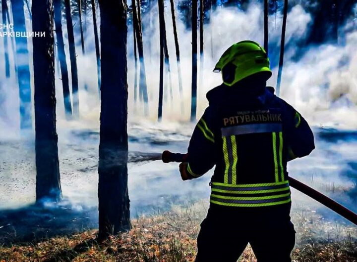 Новини України - Рятувальники ліквідували п’ять лісових пожеж на Харківщині