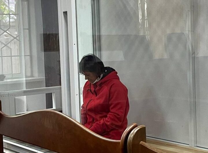 Новини України - Суд арештував підозрювану в нападі на Стерненка