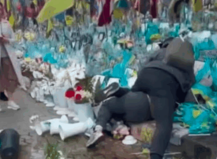 Новини Києва - У Києві жінка вчинила погром на Алеї Героїв