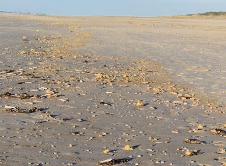 Новини світу - У Німеччині узбережжя засипало шматками парафіну