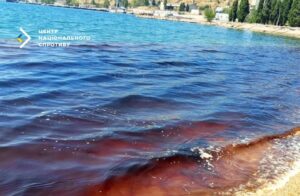 Новини України - У Севастопольській бухті масово гинуть дельфіни через злив нечистот