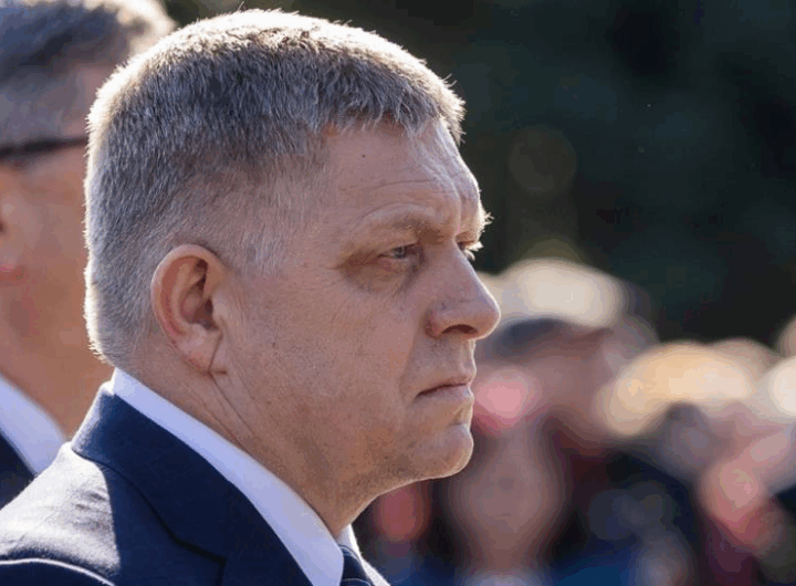 Новини світу - Уряд Фіцо дозволив продавати м’ясо бурого ведмедя