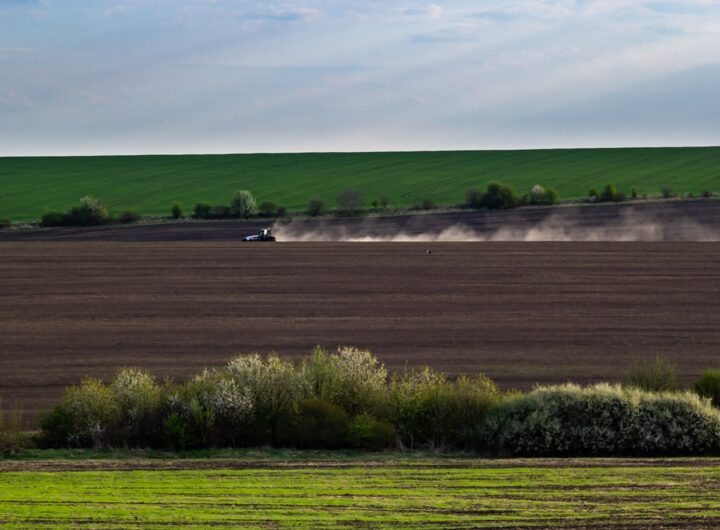 Новини бізнесу - Весняна сівба: аграрії виконали 76% плану