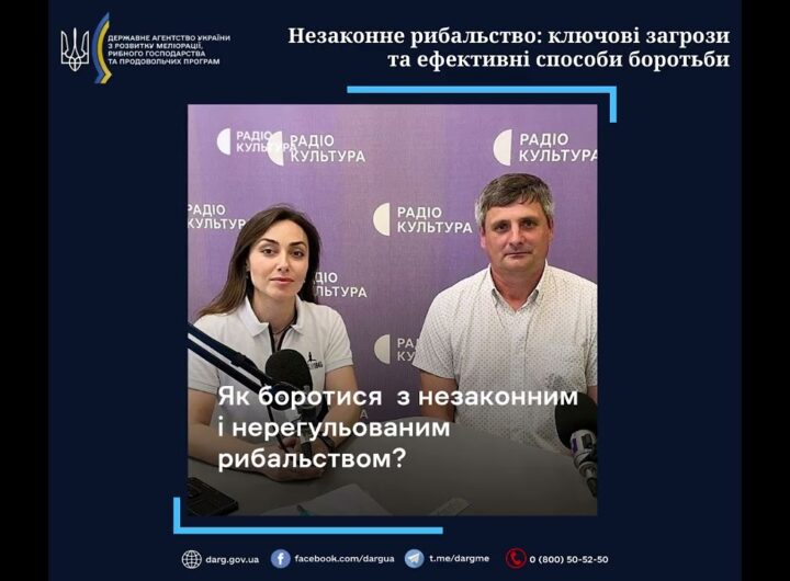 Незаконне рибальство: ключові загрози та ефективні способи боротьби