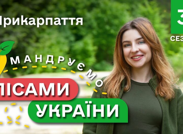 Карпатські ГОЛУБЦІ / унікальні локації КАРПАТ / Мандруємо ЛІСАМИ УКРАЇНИ #10 випуск