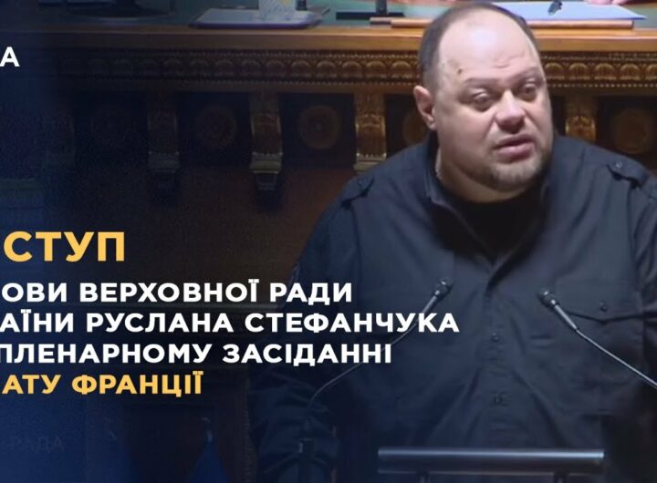 Виступ Руслана Стефанчука на пленарному засіданні Сенату Франції