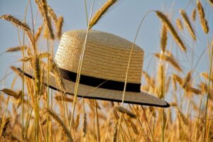 Новини культури - Гороскоп для всіх знаків зодіаку на 19 червня 2025 року