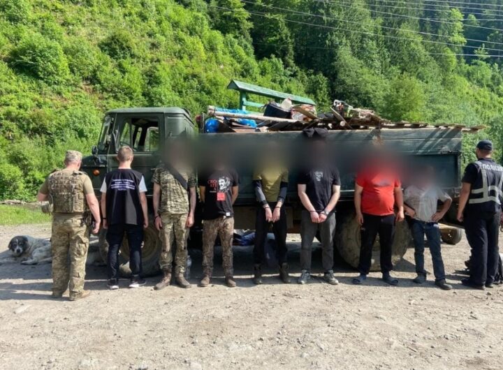 Новини України - Кози, свині й ухилянти - на Закарпатті викрили схему перевізників