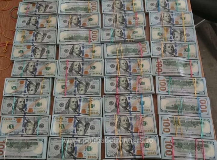 Новини України - Румунські митники вилучили у подружжя з України $1,4 млн готівки