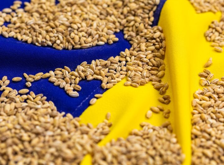 Новини бізнесу - Став відомий найбільший імпортер агропродукції України серед країн ЄС