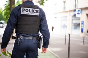 Новини світу - У Франції поліція другу добу шукає удава, що втік з тераріуму