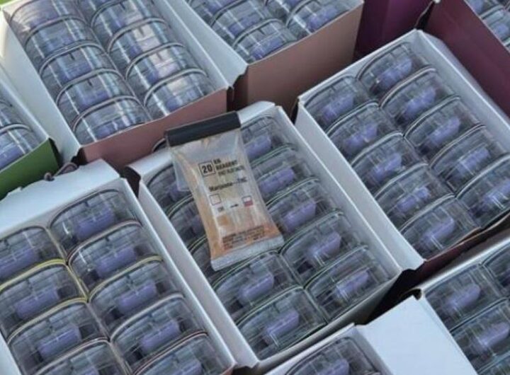 Новини України - У посилках з Німеччини: викрито канал постачання наркотиків в Україну