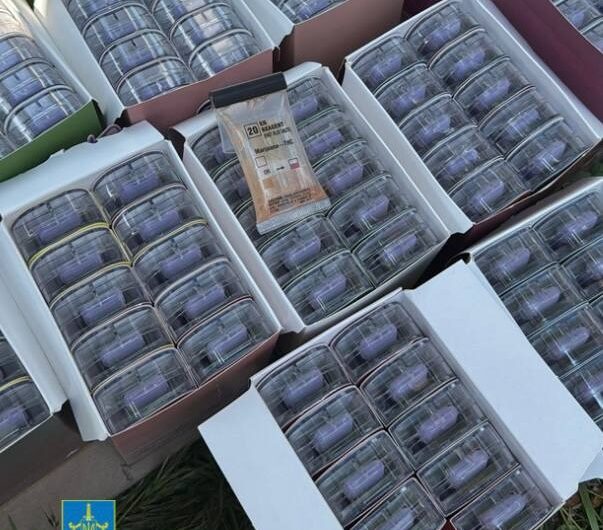 Новини України - В Україні викрили міжнародний канал наркопостачання