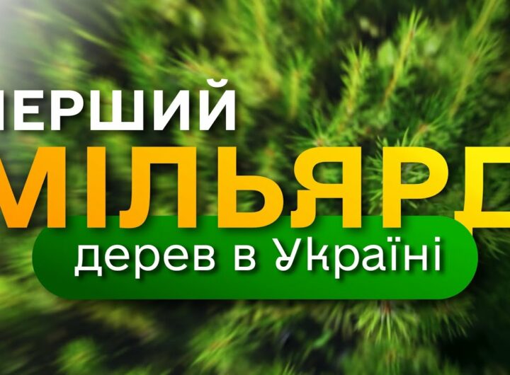 МІЛЬЯРД дерев в Україні / програма Президента ЗЕЛЕНА КРАЇНА / як ДП "Ліси України" вирощує сіянці
