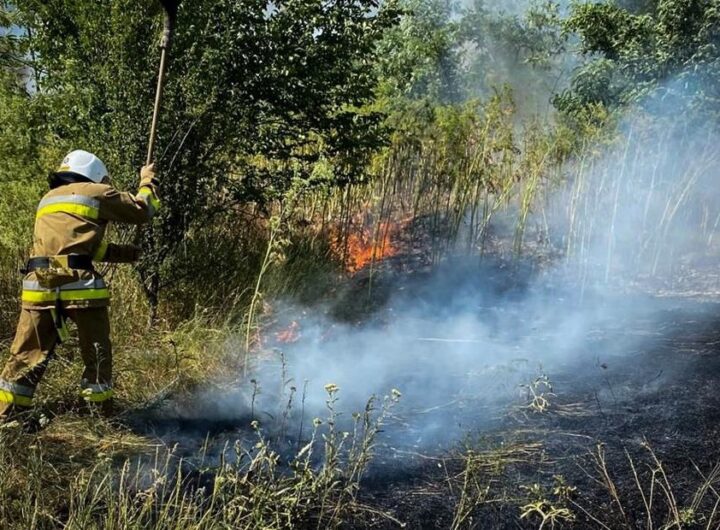 Новини України - На Одещині вирують масштабні пожежі: є жертва