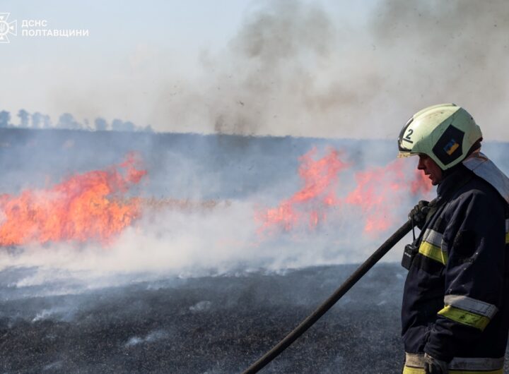 Новини України - На Полтавщині пожежа знищила поле зернових