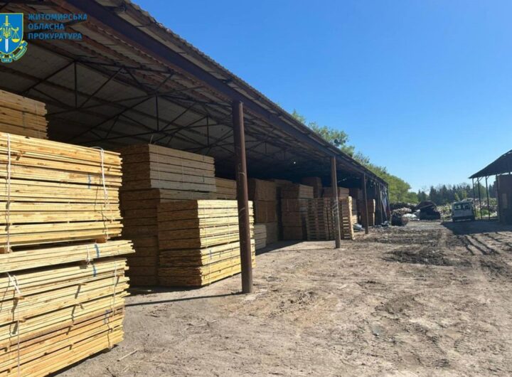 Новини України - На Житомирщині судитимуть посадовців за розкрадання лісу