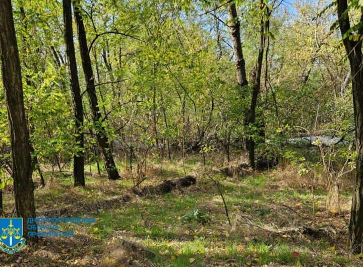 Новини України - Незаконна вирубка лісу на Дніпропетровщині призвела до 34 млн збитків