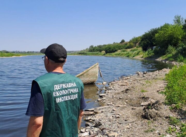 Новини України - В озері на Запоріжжі зафіксували масовий мор риби