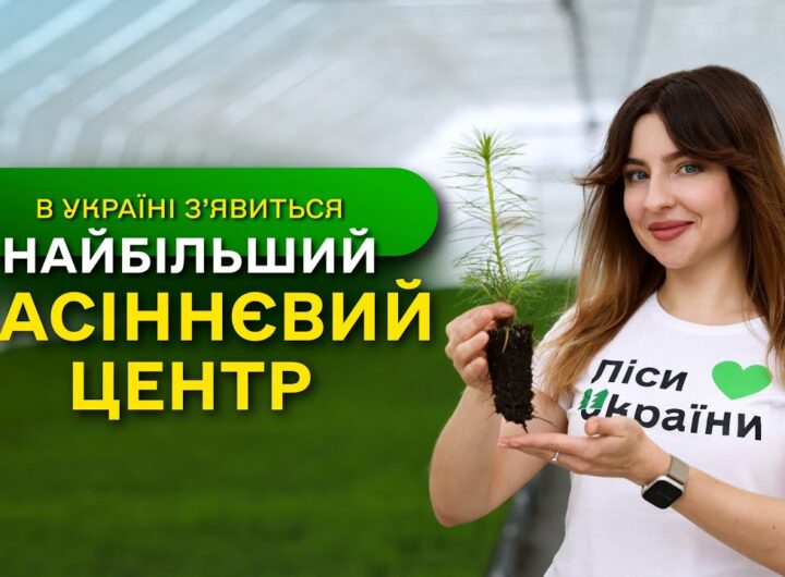 НАЙБІЛЬШИЙ в Україні ЗАВОД з виробництва СІЯНЦІВ / ДП "Ліси України" виконує програму ЗЕЛЕНА КРАЇНА