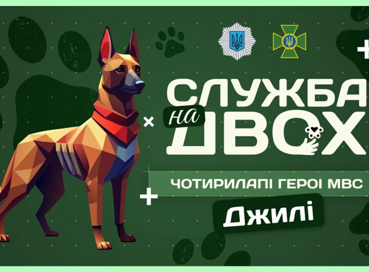 🛂 ДЖИЛІ - собака-прикордонниця після окупації | Служба на двох
