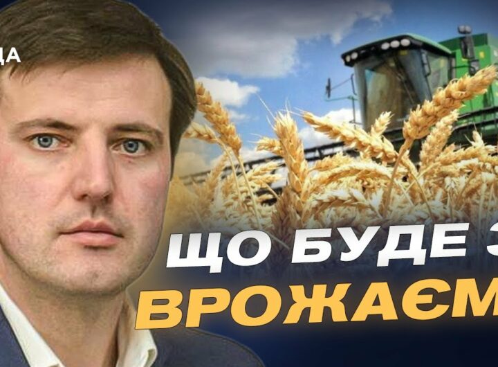 Українські фермери під час війни: головне про врожай і державну допомогу | Тарас Висоцький