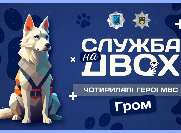 ⚡️ГРОМ - ідеальний пес-поліцейський та друг дітей | Служба на двох