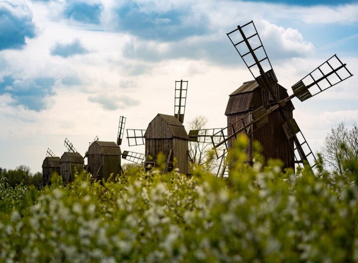 Новини культури - Гороскоп для всіх знаків зодіаку на 20 серпня 2025 року