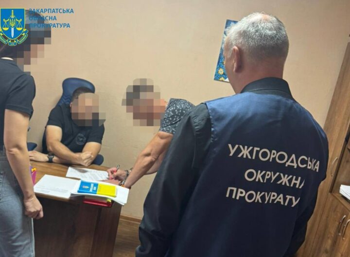 Новини України - На Закарпатті посадовець міськради продав землю на 70 млн дешевше