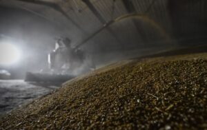 Новини бізнесу - Росія втрачає позиції найбільшого агроекспортера - розвідка