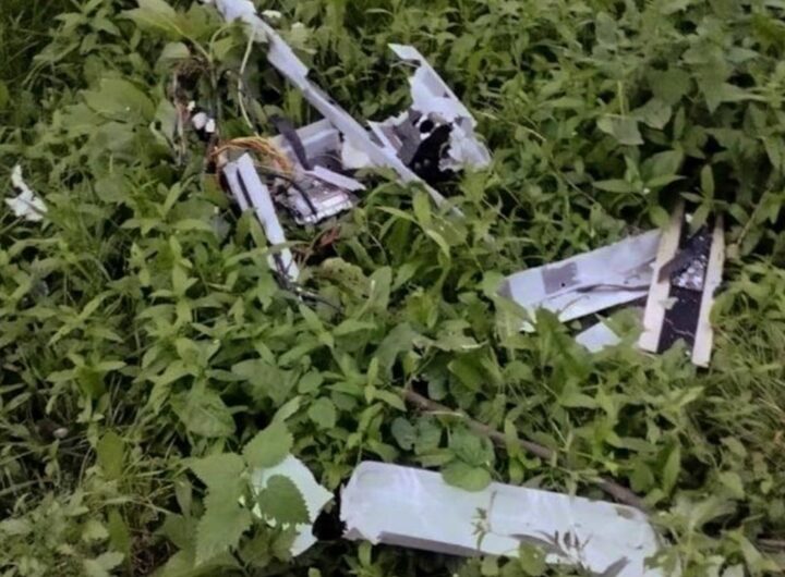 Новини України - Російські БПЛА спалили пшеничне поле під Сумами