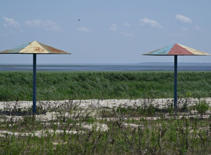 Новини України - Територію Каховське водосховище регулярно охоплює вогонь - Держекоінспекція