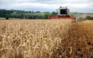 Новини України - Цього року буде найгірший врожай за останнє десятиліття