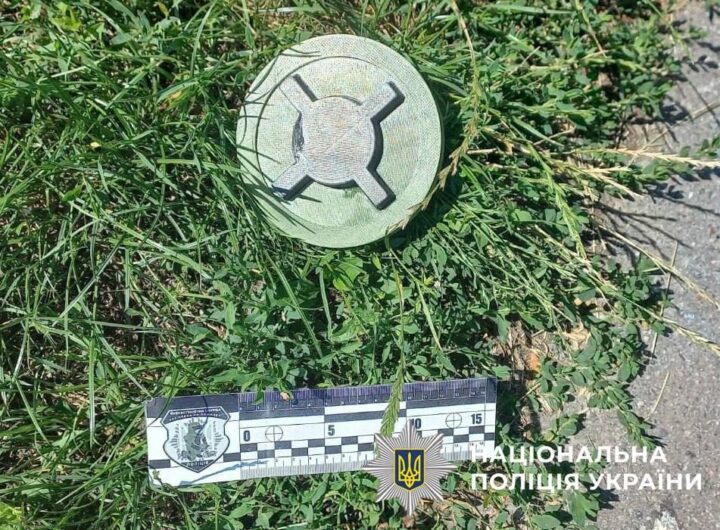Новини Києва - У Києві на дитмайданчику знайшли макет міни, надрукованої на 3D-принтері