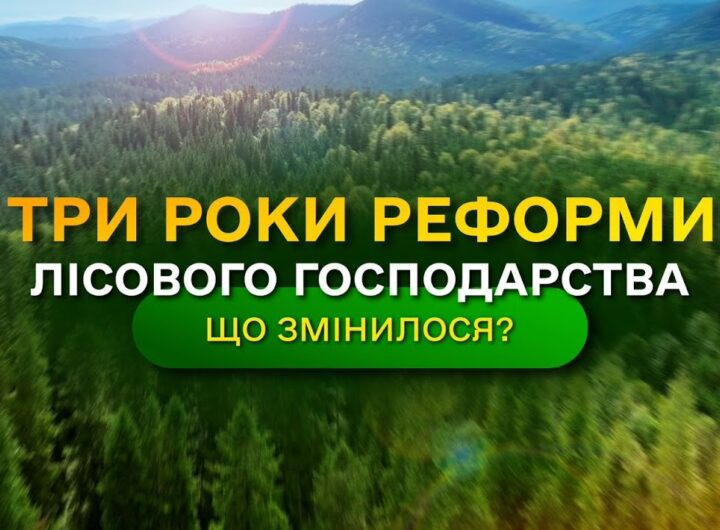 Результати ЛІСОВОЇ РЕФОРМИ - що отримала УКРАЇНА? / ДП "Ліси України"