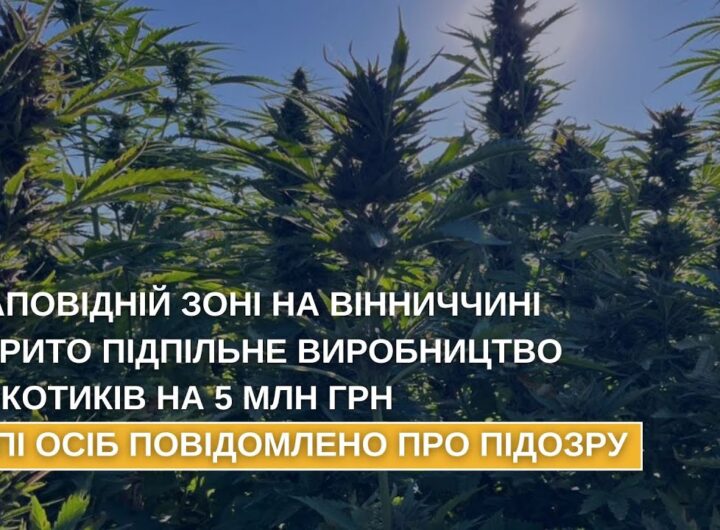У заповідній зоні на Вінниччині викрито підпільне виробництво наркотиків на 5 млн грн