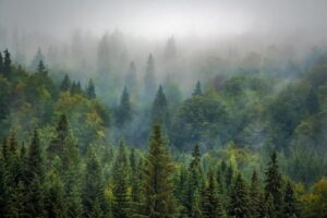 Новини культури - Гороскоп для всіх знаків зодіаку на 5 вересня 2025 року