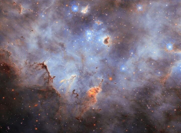 Технології - NASA показало знімок зоряного скупчення у Великій Магеллановій Хмарі