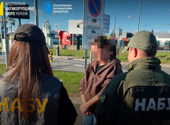 Новини України - Німеччина екстрадувала українку за махінації з землею на Закарпатті